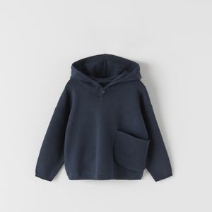 Zara toddler hoodies in grey and blue